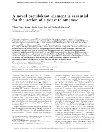 A Novel Pseudoknot Element Is Essential for the Action of a Yeast Telomerase