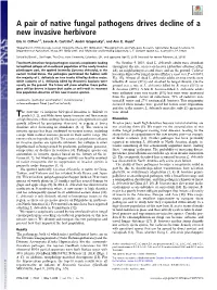 A Pair of Native Fungal Pathogens Drives Decline of a New Invasive Herbivore