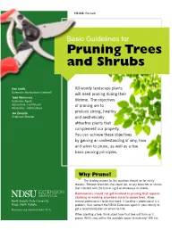 Basic Guidelines for Pruning Trees and Shrubs
