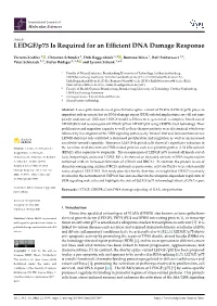LEDGF/P75 Is Required for an Efficient DNA Damage Response
