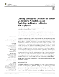 Linking Ecology to Genetics to Better Understand Adaptation and Evolution: a Review in Marine Macrophytes
