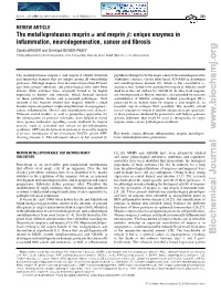 The Metalloproteases Meprin Α and Meprin Β: Unique Enzymes In