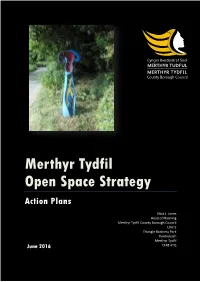 Merthyr Tydfil Open Space Strategy Action Plan June 2016
