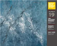 The Adjacent Possible Faculty Show 14 1619 / 2019