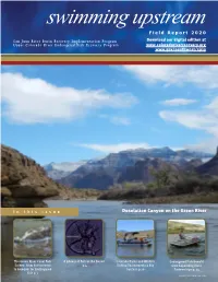 Swimming Upstream Field Report 2020 Download Our Digital Edition At