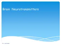 Brain Neurotransmitters