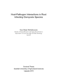 Host-Pathogen Interactions in Root Infecting Oomycete Species