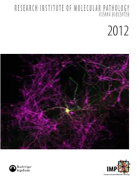 2012 IMP Research Report