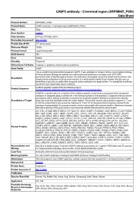 C-Terminal Region (ARP58987 P050) Data Sheet