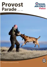 Parade Issue 2 2013