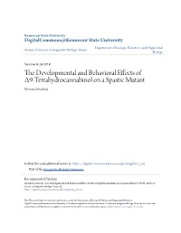 The Developmental and Behavioral Effects of Δ9-Tetrahydrocannabinol