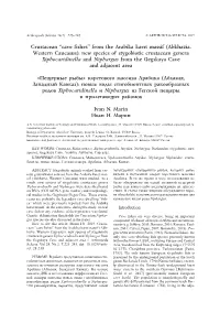 “Cave Fishes” from the Arabika Karst Massif