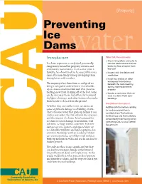 Preventing Ice Dams