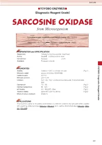 SARCOSINE OXIDASE from Microorganism