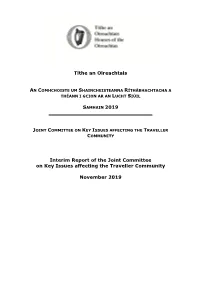 Interim Report of the Joint Committee on Key Issues Affecting the Traveller Community