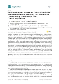 The Branching and Innervation Pattern of the Radial Nerve in the Forearm: Clarifying the Literature and Understanding Variations and Their Clinical Implications