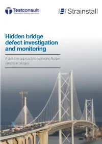 Hidden Bridge Defect Investigation and Monitoring