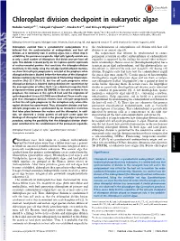 Chloroplast Division Checkpoint in Eukaryotic Algae PNAS PLUS