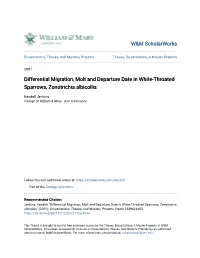 Differential Migration, Molt and Departure Date in White-Throated Sparrows, Zonotrichia Albicollis