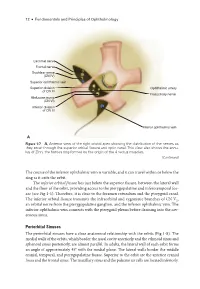Periorbital Sinuses the Periorbital Sinuses Have a Close Anatomical Relationship with the Orbits (Fig 1-8)