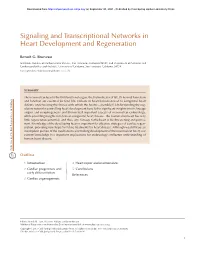 Signaling and Transcriptional Networks in Heart Development and Regeneration