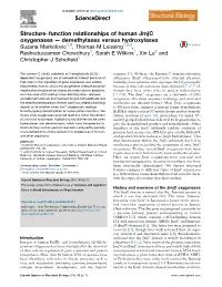 Structure–Function Relationships of Human Jmjc Oxygenases