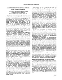 An Overview of Pet Reptile Species and Proper Hand