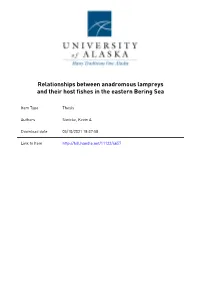 RELATIONSHIPS BETWEEN ANADROMOUS LAMPREYS and THEIR HOST FISHES in the EASTERN BERING SEA by Kevin A. Siwicke RECOMMENDED: Dr. T