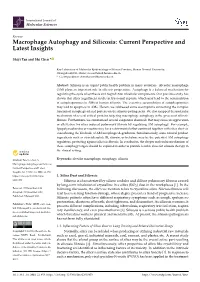 Macrophage Autophagy and Silicosis: Current Perspective and Latest Insights