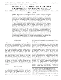 Reticulated Filaments in Cave Pool Speleothems: Microbe Or Mineral? Journal of Cave and Karst Studies, V