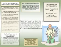Tree Shelter Brochure
