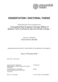 Dissertation / Doctoral Thesis