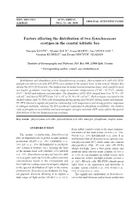 Factors Affecting the Distribution of Two Synechococcus Ecotypes in the Coastal Adriatic Sea