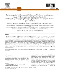 Re-Investigation of Glucose Metabolism in Fibrobacter Succinogenes, Using NMR Spectroscopy and Enzymatic Assays