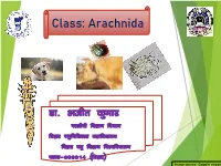 Class: Arachnida