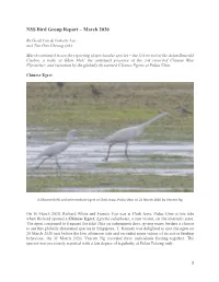 NSS Bird Group Report – March 2020