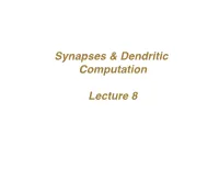 Synapses & Dendritic Computation Lecture 8
