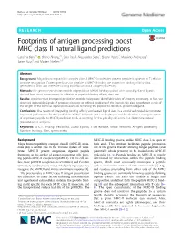 Footprints of Antigen Processing Boost MHC Class II Natural Ligand
