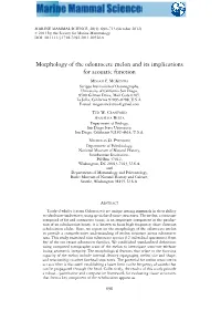 Morphology of the Odontocete Melon and Its Implications for Acoustic Function