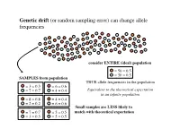 B32-W6-Lecture Copy.Pptx