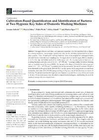 Cultivation-Based Quantification and Identification of Bacteria at Two