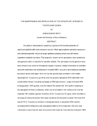 The Maintenance and Replication of the Apicoplast Genome In