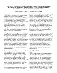 Spatial Patterns of Claviceps Purpurea in Kentucky Bluegrass And