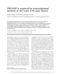 SWI/SNF Is Required for Transcriptional Memory at the Yeast GAL Gene Cluster