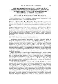 Natural Enemies of Banana Lacewing Bug, Stephanitis Typica (Distant) in India, Including First Report of Anagrus Sp