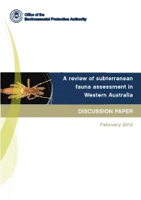 A Review of Subterranean Fauna Assessment in Western Australia