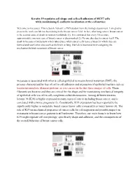 Keratin 19 Regulates Cell Shape and Cell-Cell Adhesion of MCF7 Cells While Maintaining E-Cadherin Localization at the Cell Surface