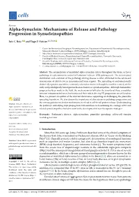 Alpha-Synuclein: Mechanisms of Release and Pathology Progression in Synucleinopathies