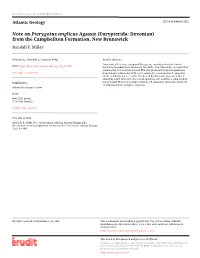 Note on Pterygotus Anglicus Agassiz (Eurypterida: Devonian) from the Campbellton Formation, New Brunswick Randall F