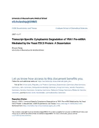 Transcript-Specific Cytoplasmic Degradation of YRA1 Pre-Mrna Mediated by the Yeast EDC3 Protein: a Dissertation
